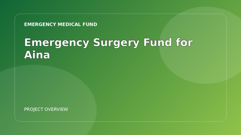 Emergency Surgery Fund for Aina featured image